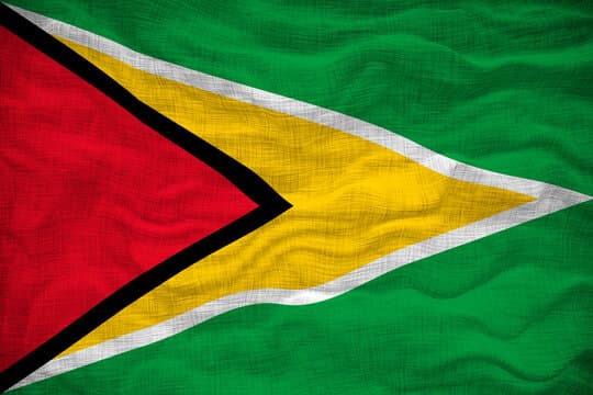 Guyana Cultural Association of Montreal logo